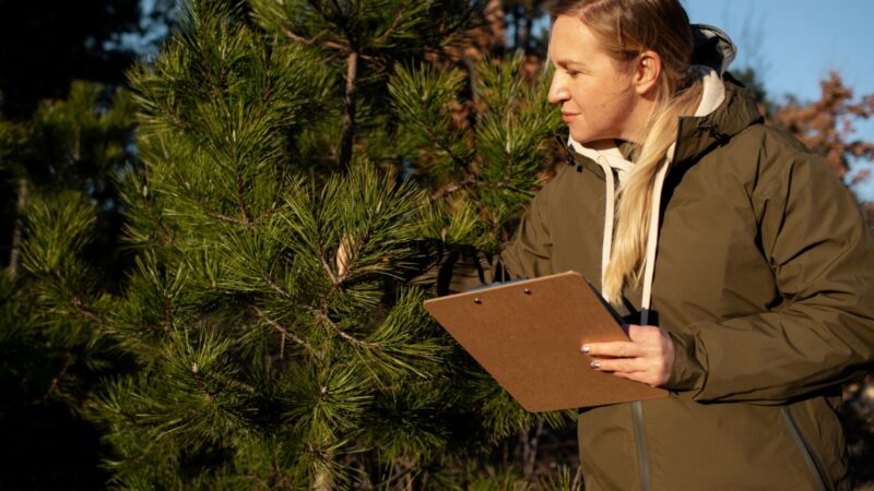 Spotkanie ekspertów ds. drzew w Zgierzu: Jak ochronić polskie zasoby dendrologiczne?