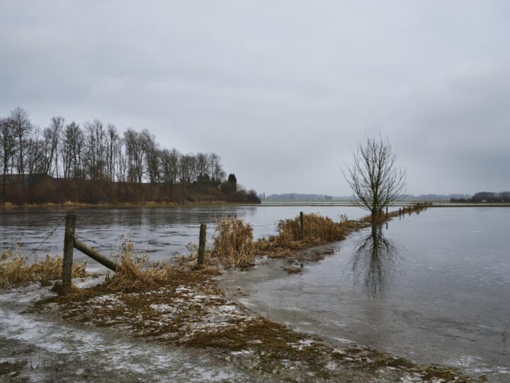 Wspólna pomoc mieszkańców gminy Ozorków dla poszkodowanych przez powódź