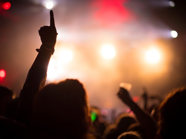 Świąteczna Magia w Zgierzu: Koncert „Boruty” Zachwycił Tłumy