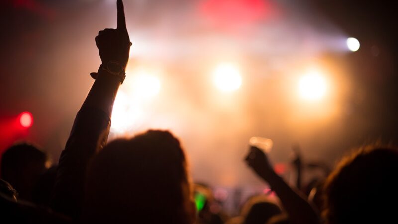 Świąteczna Magia w Zgierzu: Koncert „Boruty” Zachwycił Tłumy