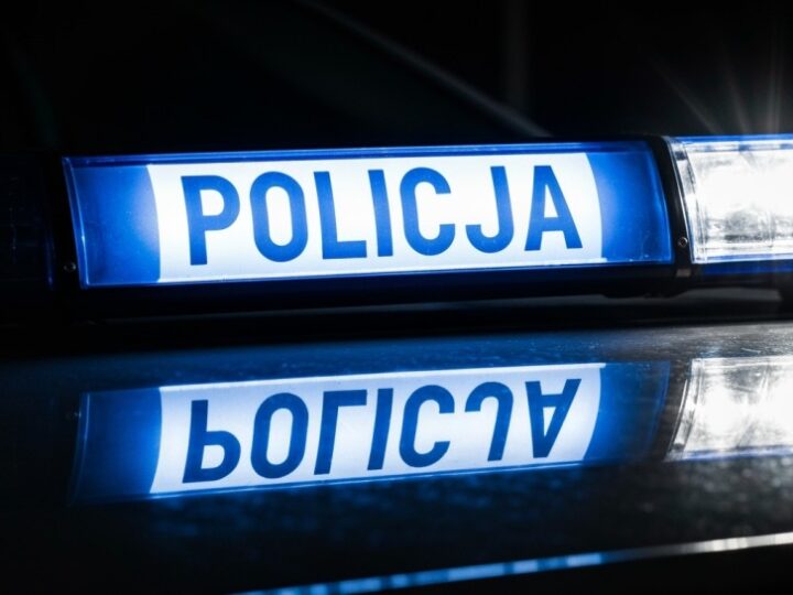 Policyjna akcja na A2: Zatrzymano kierowcę kradzionej hyundaii!