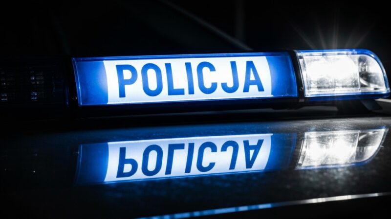 Policyjna akcja na A2: Zatrzymano kierowcę kradzionej hyundaii!