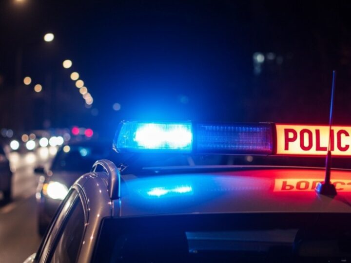 Policja z Zgierza likwiduje nielegalną plantację narkotyków w Aleksandrowie Łódzkim